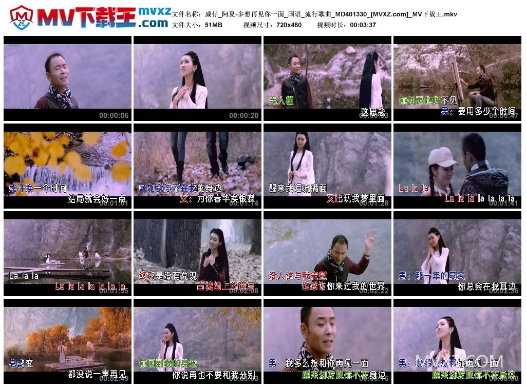 威仔_阿夏-多想再见你一面_国语_流行歌曲_MD401330